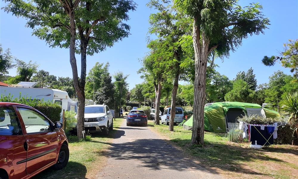 camping des pins emplacement nus