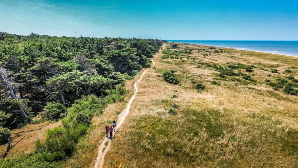 dji fly 20250619 123520 814 1750329366077 photo optimized
